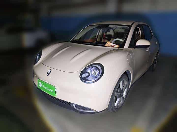 2023 Euler Good Cat 2023 model 401km standard battery life premium type lithium iron phosphate