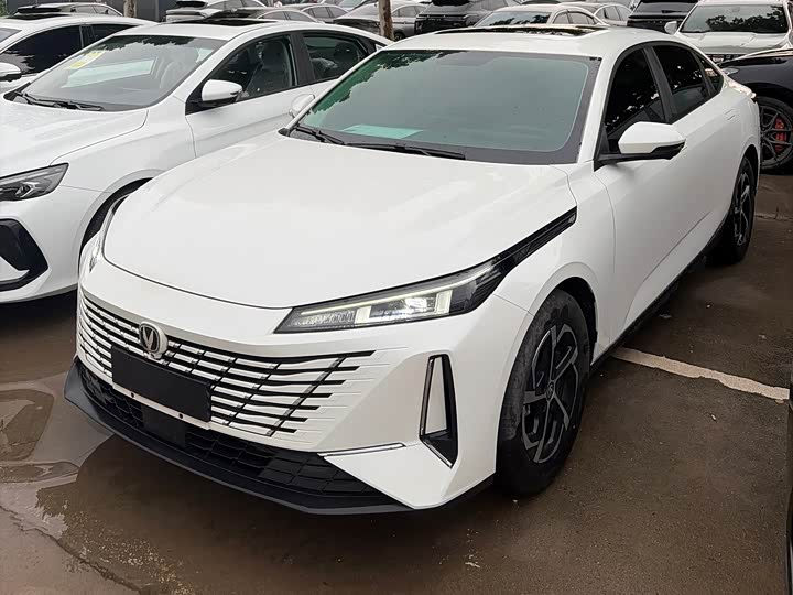Yida 2023 Blue Whale NE 1.5T GDI DCT Exclusive Type