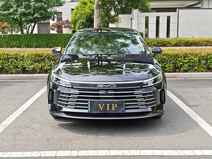 2024 Destroyer 05 2024 Honor Edition DM-i 55KM Luxury Type