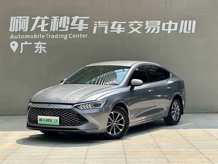 2024 Qin PLUS 2024 Honor Edition DM-i 55KM Leading Type