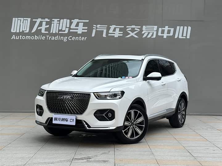 2021 Haval H6 2021 1.5T Automatic Champion Edition