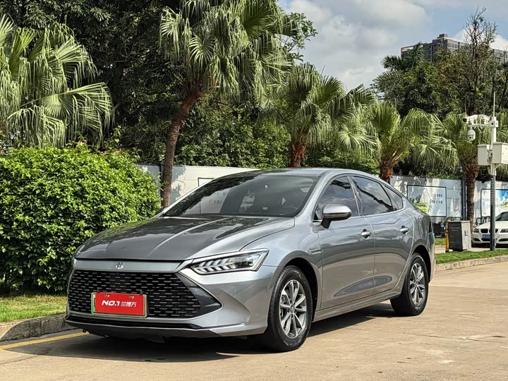 2024 Qin PLUS 2024 Honor Edition DM-i 55KM Leading Type