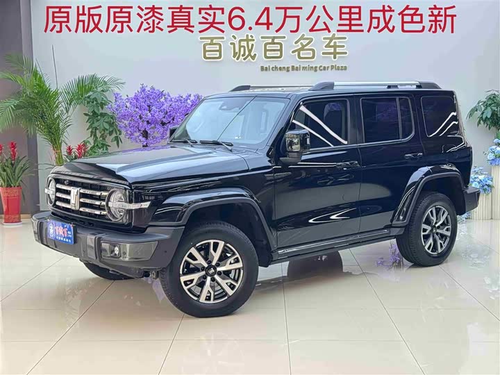 2023 Tank 300 2023 City Edition 2.0T Very Stylish