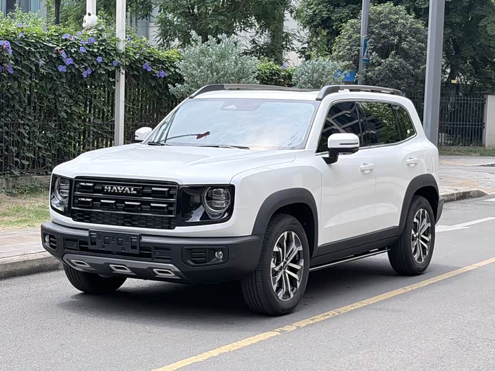 2025 Haval Big Dog 2026 1.5T DCT Border Collie Edition