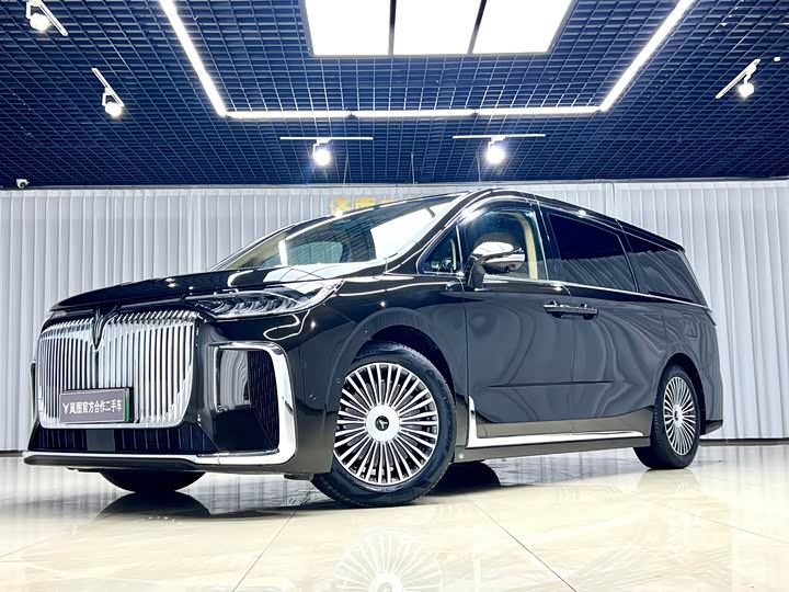 Voyah Dream 2025 PHEV AWD Flagship Kunpeng Edition