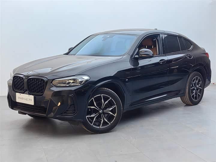 BMW X4 2022 xDrive25i M Sport Package