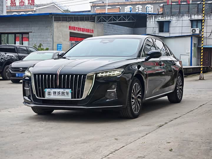 Hongqi H5 2024 2.0T Automatic Zhilianqichang Edition
