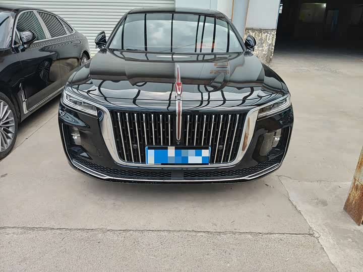 Hongqi H9 2020 2.0T Zhilian Qixiang Edition