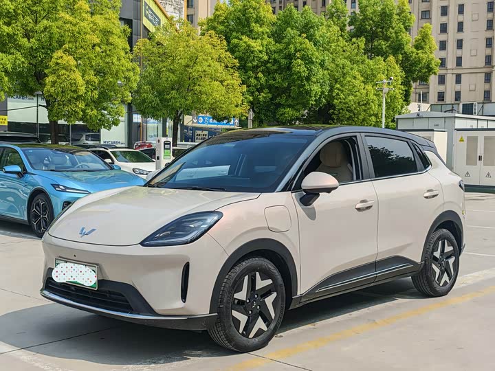 2025 Bingo S 2025 325km flagship model