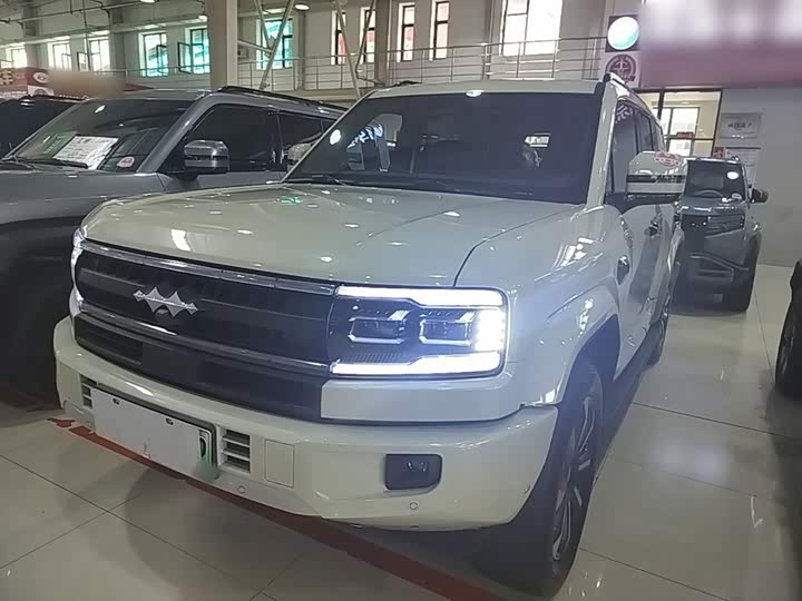 Leopard 5 2025 Model 125KM Tianshen Zhijia Ultra Edition