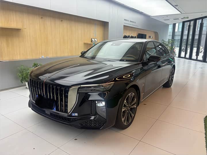 Hongqi H9 2025 2.0T two-wheel drive flag private fashion version 5 seats