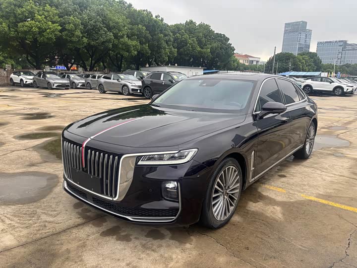 Hongqi H9 2020 2.0T Zhilian Qichang Edition