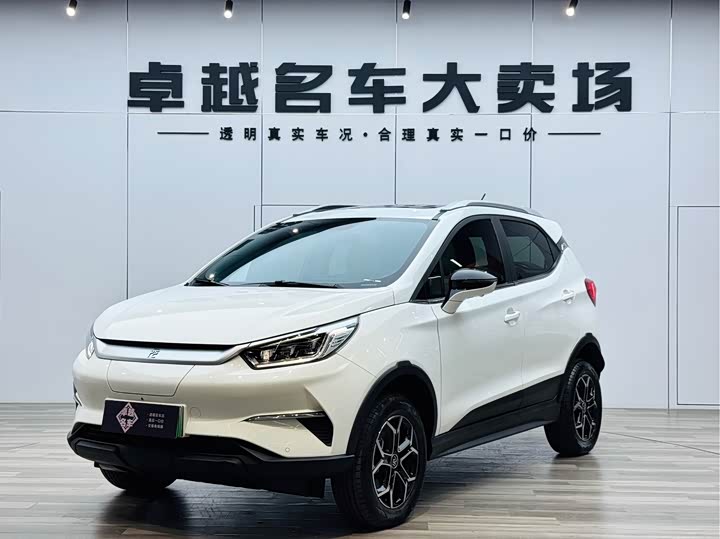 Yuan Pro 2023 model 401KM premium model