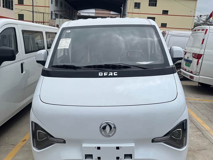 Ruilida V5 2025 model 310km standard model
