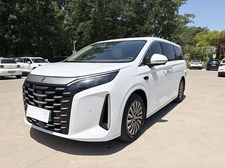 Summer 2025 DM-i 1.5T 100km leading model