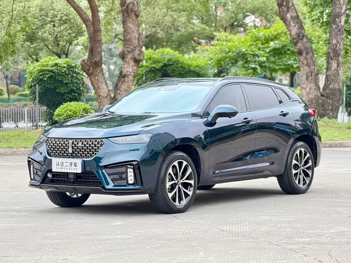 Wei brand VV7 2020 2.0T super luxury model