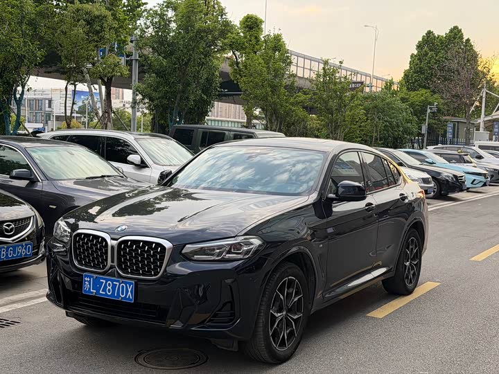 BMW X4 2022 xDrive25i M Sport Package