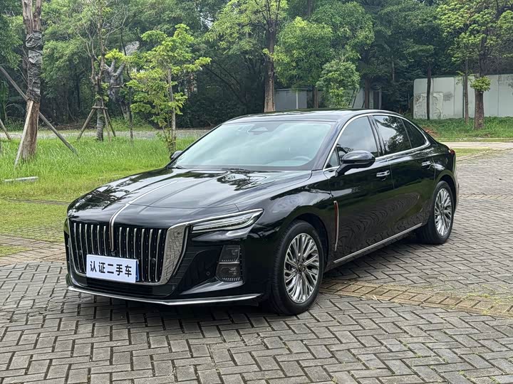 Hongqi H5 2023 2.0T Automatic Zhilianqichang Edition
