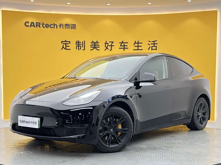Model Y 2021 standard range rear-wheel drive version
