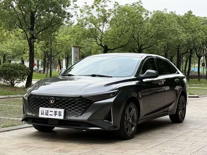 Ruicheng PLUS 2023 1.5T DCT premium model