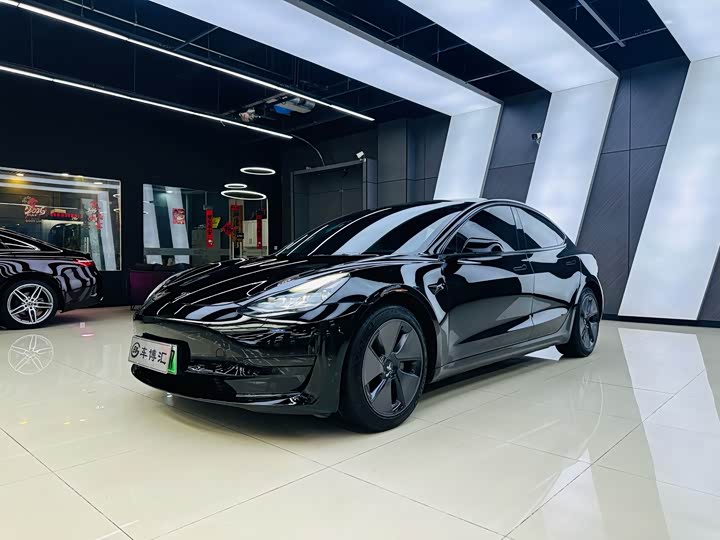 Model 3 2021 Model Model Standard Range Edition 3D1