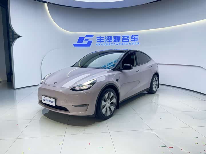 Model Y 2021 standard range rear-wheel drive version