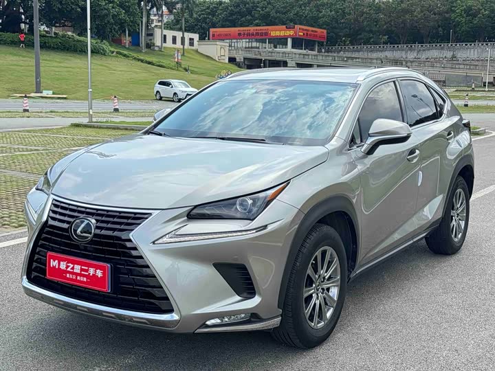 Lexus NX 2020 200 AWD Feng Shang Edition National V