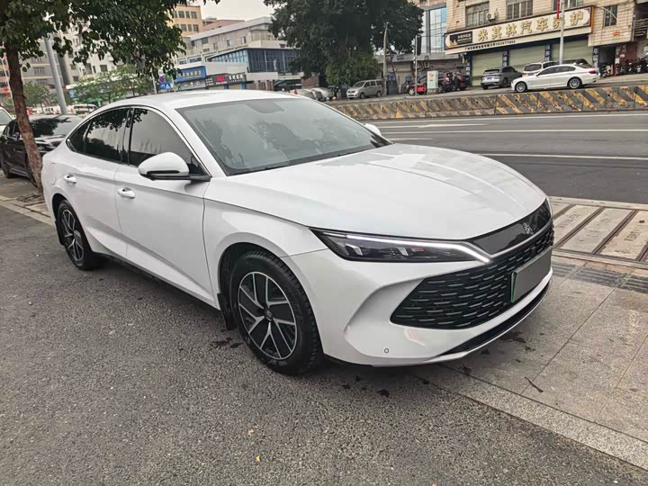 Qin L 2024 DM-i 80KM transcendent model