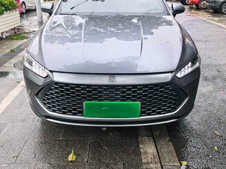 Qin PLUS 2024 Honor Edition DM-i 55KM Leading Type