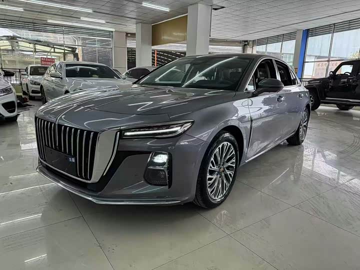 Hongqi H5 2023 2.0T Automatic Zhilianqichang Edition
