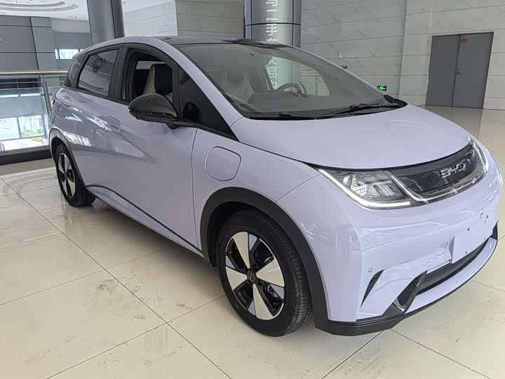 BYD Dolphin 2023 420km Fashion Edition