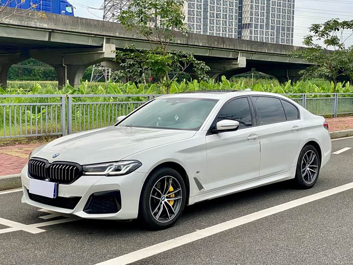 5 2022 Model 525Li M