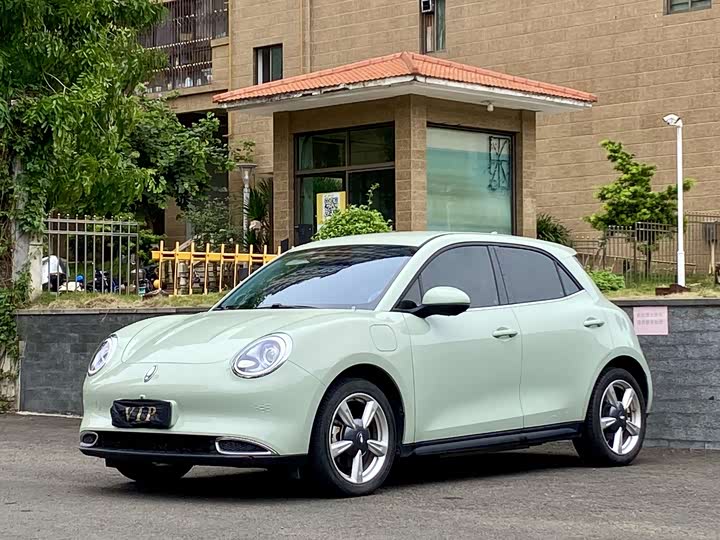 2023 Euler Good Cat 2023 model 401km standard battery life luxury model lithium iron phosphate