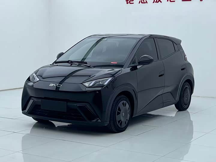 Model Edition