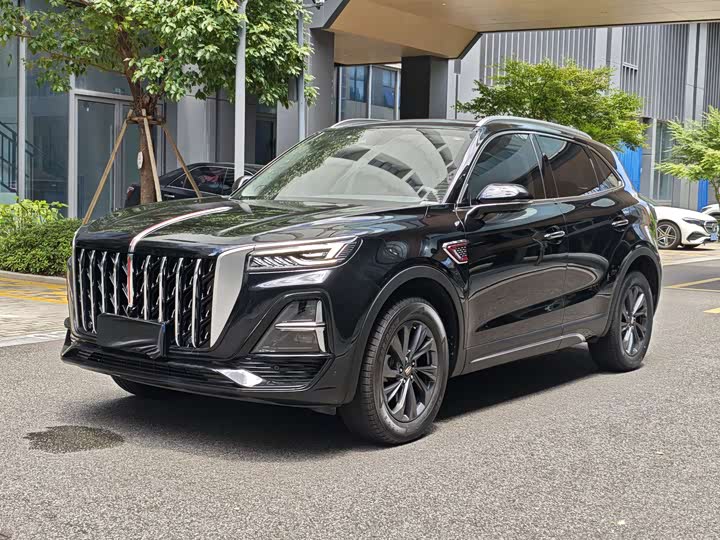 Hongqi HS5 2025 2.0T two-wheel drive Qixiang Pro version