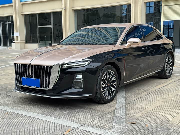 Hongqi H5 2023 2.0T Automatic Zhilianqichang Edition