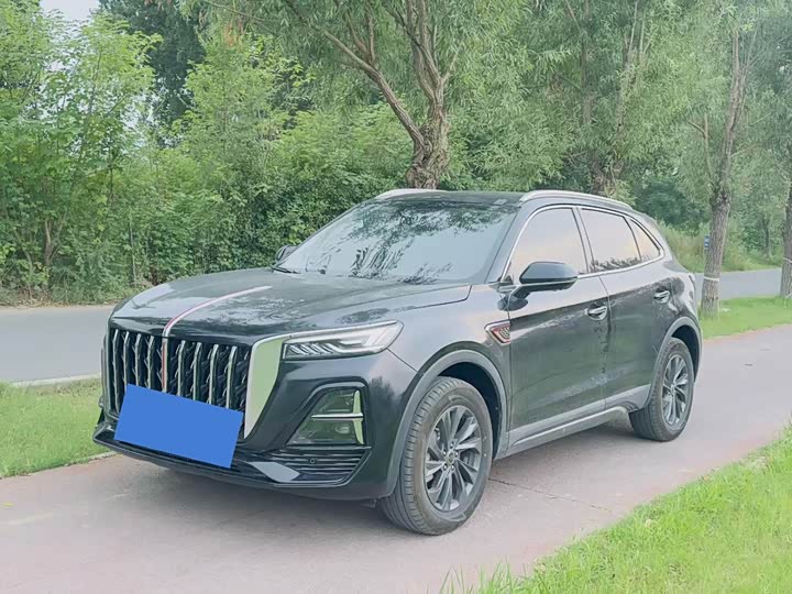 Hongqi HS5 2025 2.0T two-wheel drive Qixiang Pro version