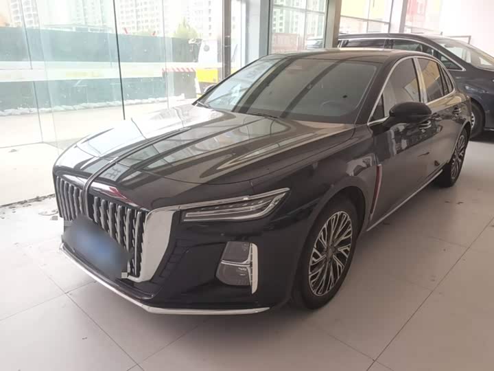 Hongqi H5 2024 2.0T Automatic Zhilianqichang Edition