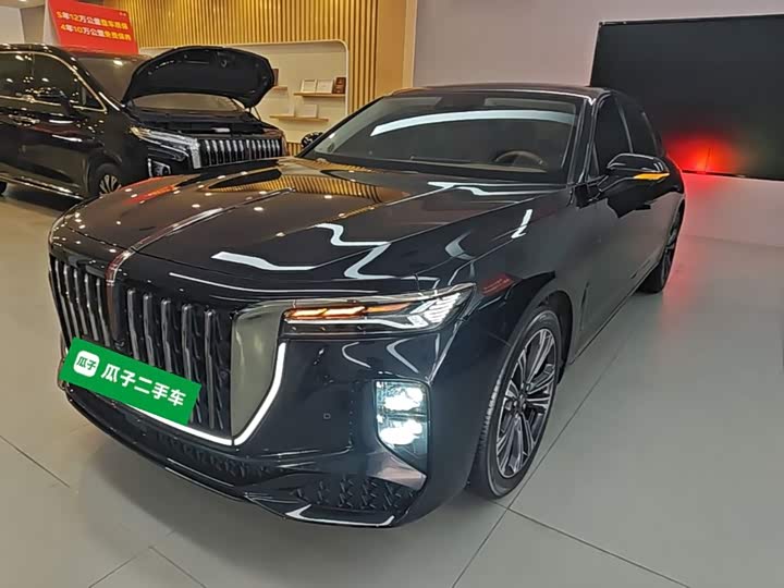 Hongqi H9 2024 2.0T Qixiang Private Fashion Edition