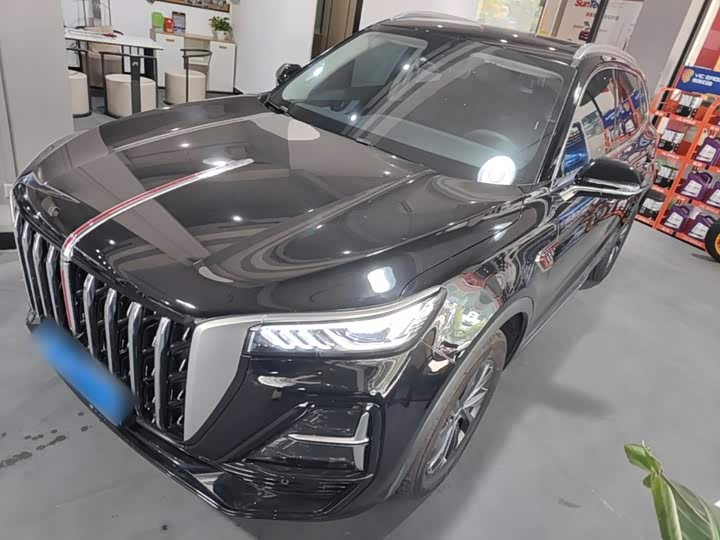 Hongqi HS5 2025 2.0T two-wheel drive 600,000 units commemorative edition