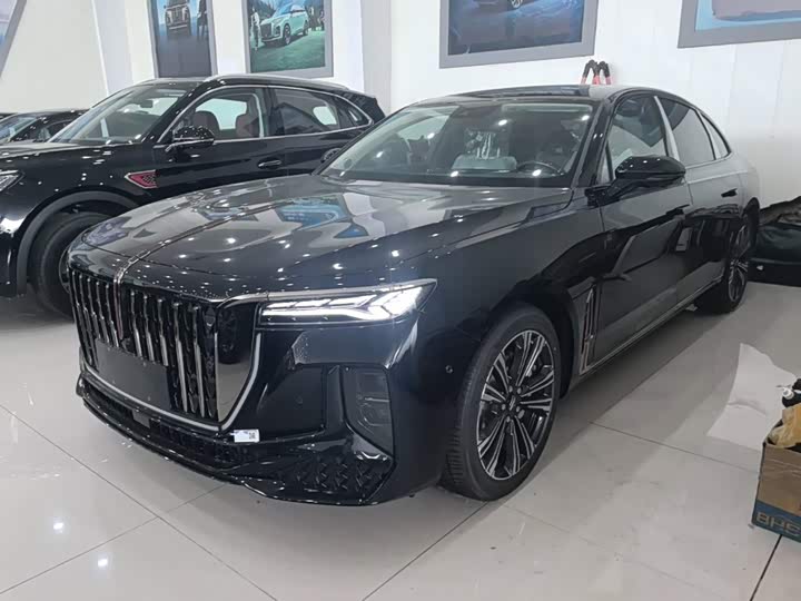 Hongqi H9 2024 2.0T Qichang Private Fashion Edition