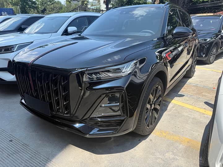 Hongqi HS5 2025 2.0T two-wheel drive Xuanying Edition