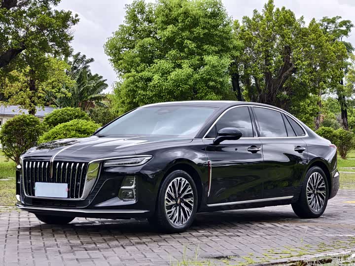 Hongqi H5 2024 2.0T Automatic Zhilian Qichang Edition