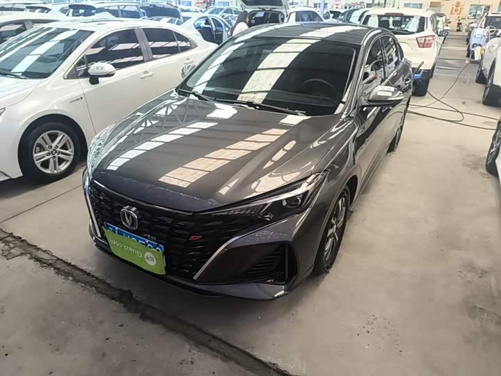 Yidong 2023 Changxiang Edition PLUS Blue Whale NE 1.4T GDI DCT Distinguished Edition