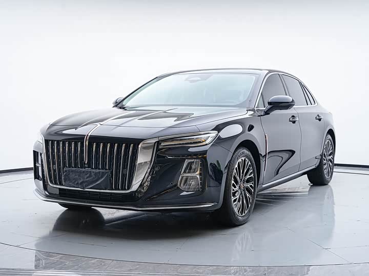 Hongqi H5 2024 2.0T Automatic Zhilian Qichang Edition