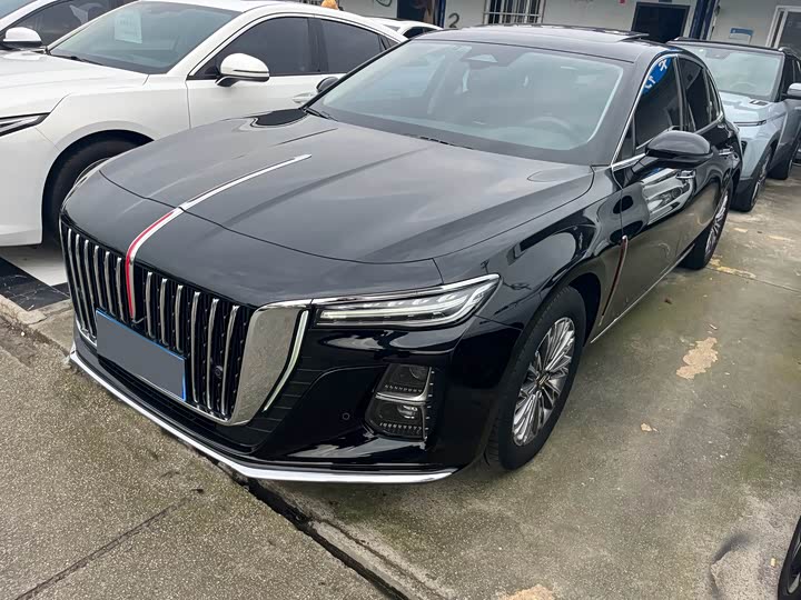 Hongqi H5 2023 2.0T Automatic Zhilian Qichang Edition
