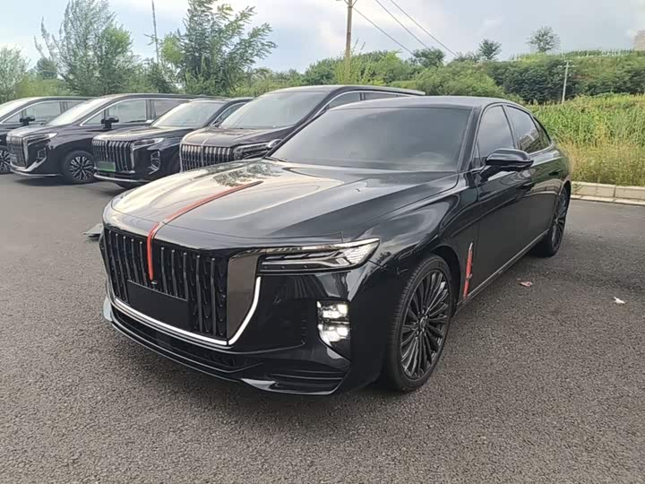 H9 2025 Model Model 2.0T 2WD Edition 5