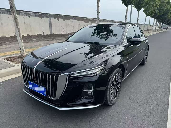 Hongqi H5 2026 2.0T Automatic Qichang Pro Edition