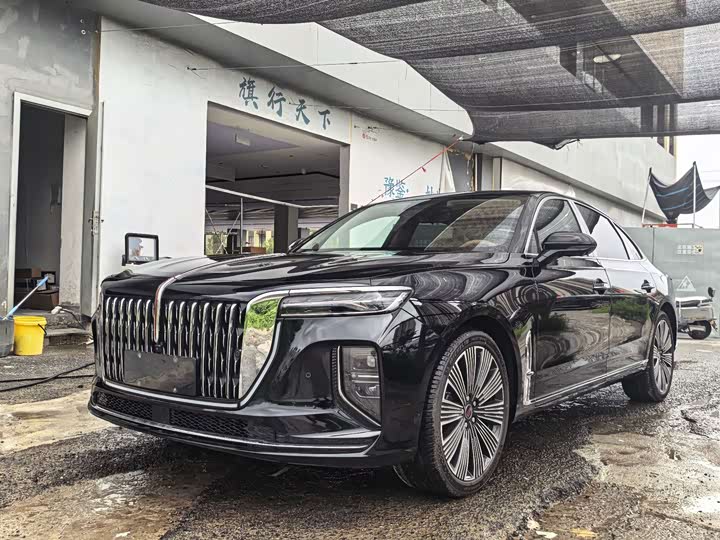 Hongqi H9 2025 2.0T two-wheel drive Qixiang luxury business version 5 seats
