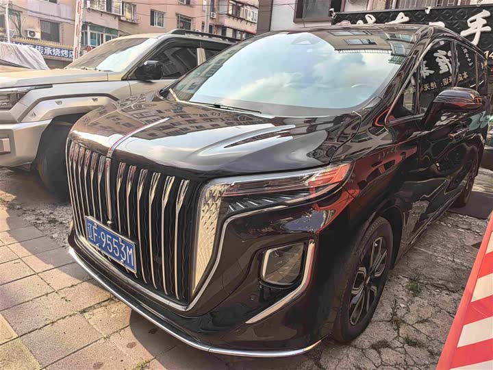Hongqi HQ9 2023 2.0T Zhilian Qiling Edition